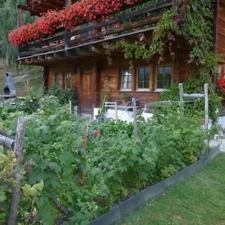 Apartment Am Gibelsbach *