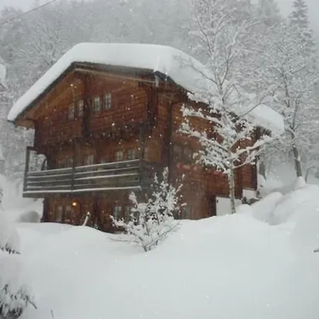 Am Gibelsbach Apartment Fiesch